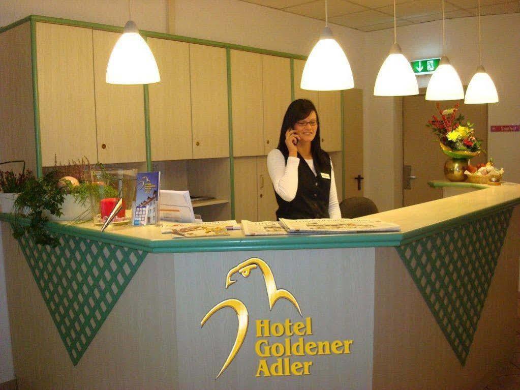 Adler-Hotel דליטש' מראה חיצוני תמונה